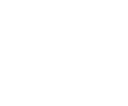 Evolution games at Spin Fortune Max Casino